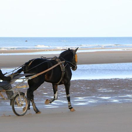Les Bains De Mer Grandcamp-Maisy Ngoại thất bức ảnh